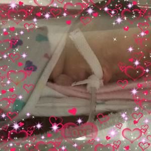 Meet your Posher, Jodi